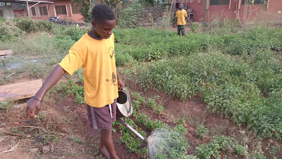 93312_SOS-KD_Benin_Natitingou_Water used to water vegetables à Abomey-Calavi